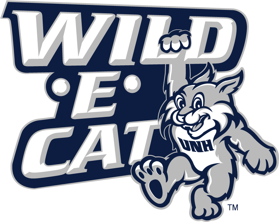 New Hampshire Wildcats 2000-2019 Misc Logo diy DTF decal sticker